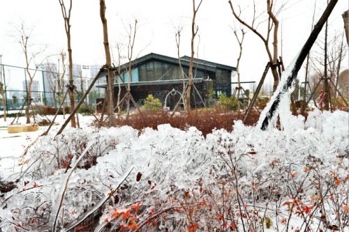 一场雪,九游体育美得不要不要的 但最美的风景还是他们(图3) 一场雪,九游体育美得不要不要的 但最美的风景还是他们(图3)