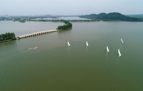跳水世界杯圆满落幕 中国队包揽全部11金(图15) 跳水世界杯圆满落幕 中国队包揽全部11金(图15)