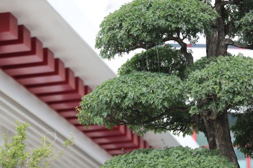 九游体育的颜值(图6) 九游体育的颜值(图6)