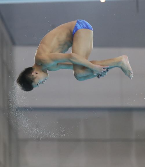 军运会跳水测试赛在九游体育游泳馆举行(图2) 军运会跳水测试赛在九游体育游泳馆举行(图2)