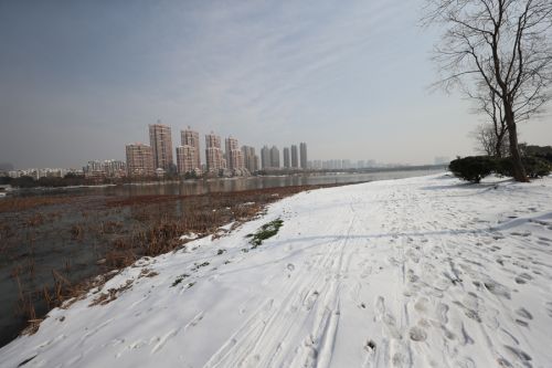 九游体育都是追梦人(图1) 九游体育都是追梦人(图1)